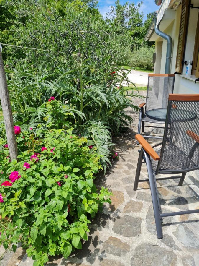 Apartma Istra Zora Secovlje Luaran gambar