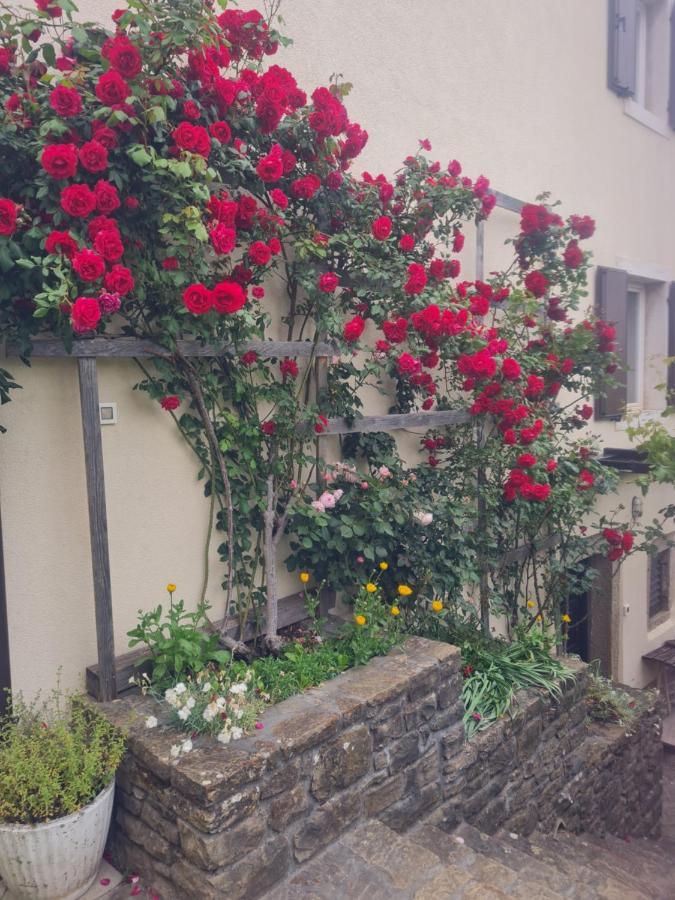 Apartma Istra Zora Secovlje Luaran gambar