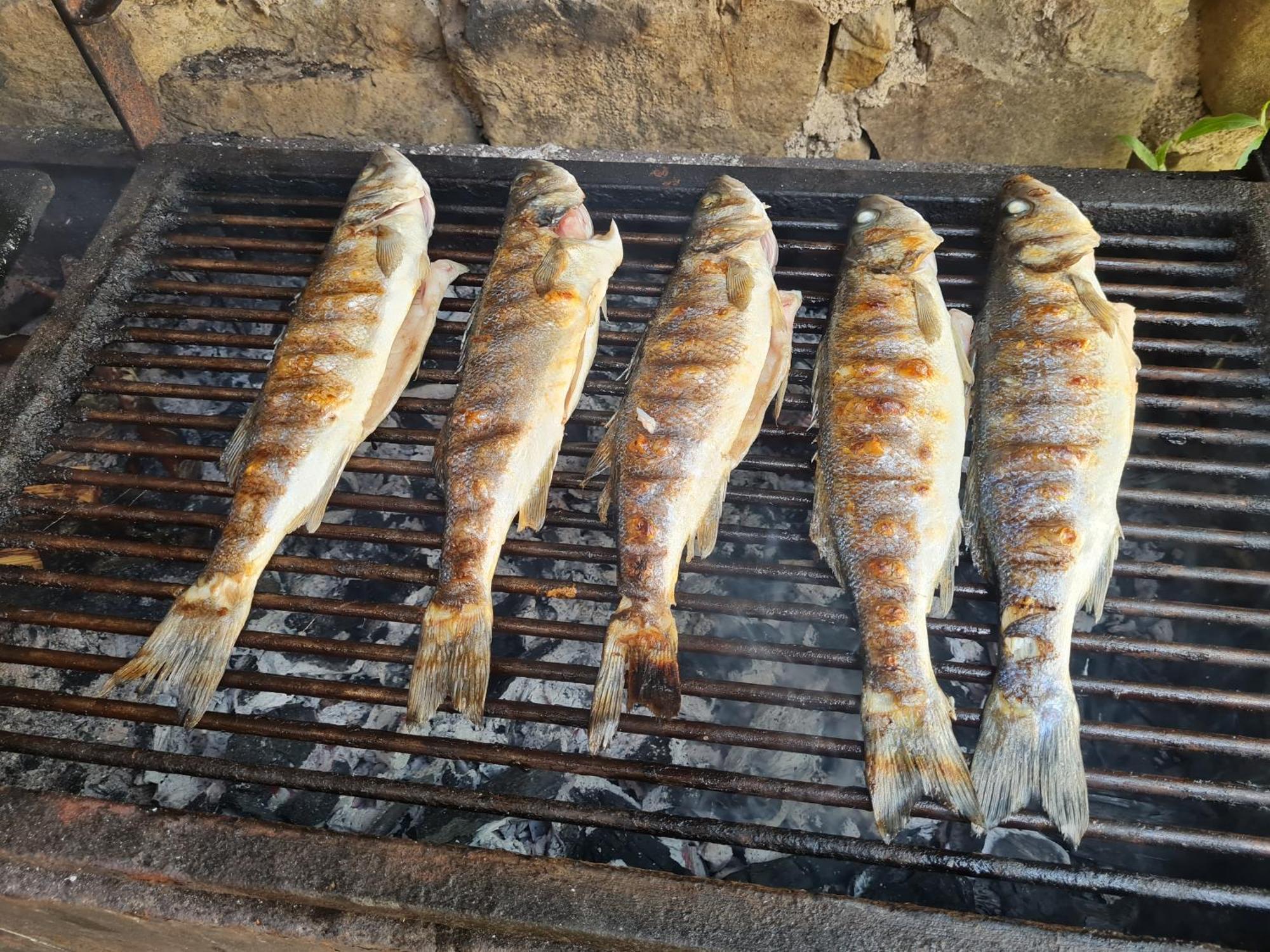 Apartma Istra Zora Secovlje Luaran gambar