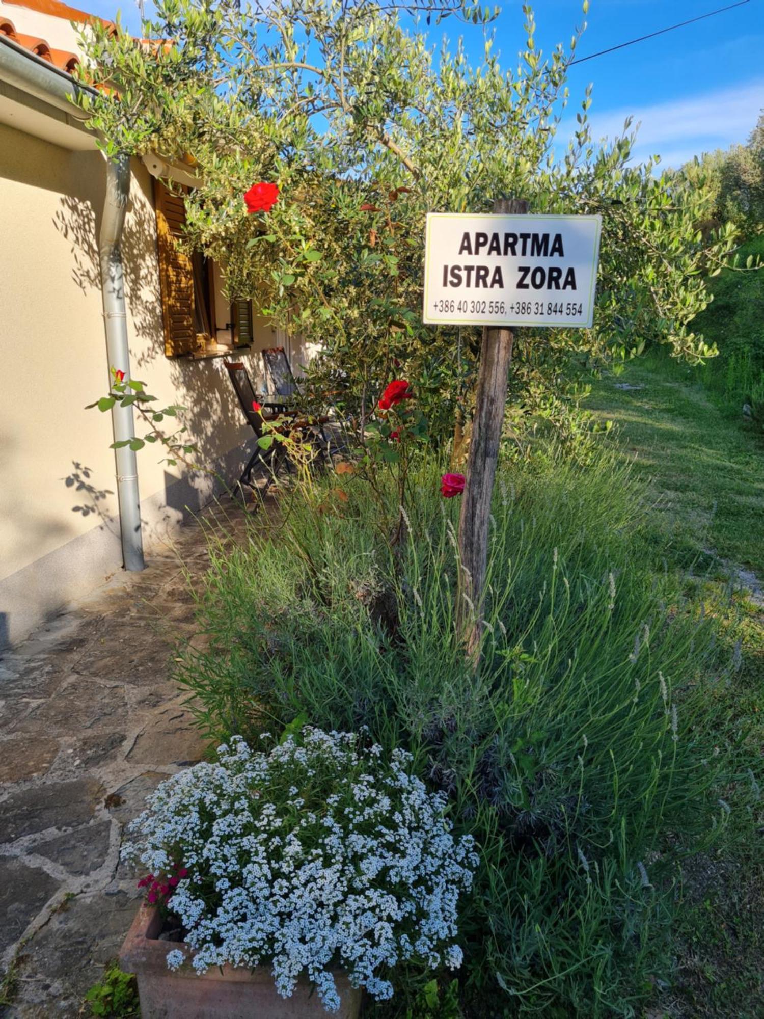Apartma Istra Zora Secovlje Luaran gambar