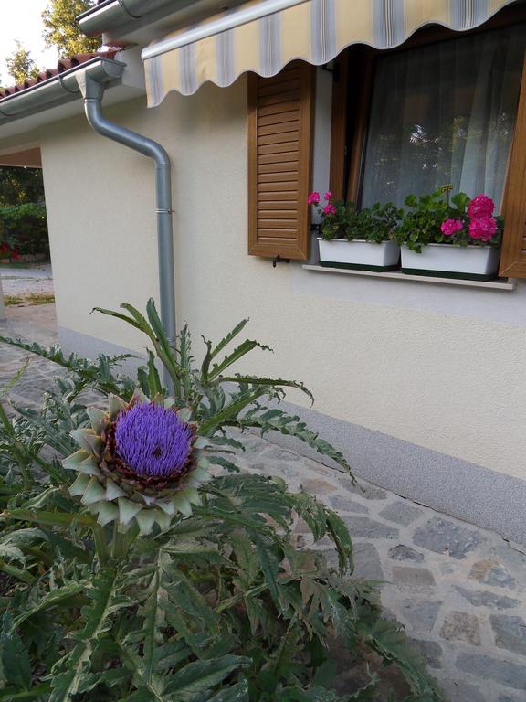 Apartma Istra Zora Secovlje Luaran gambar