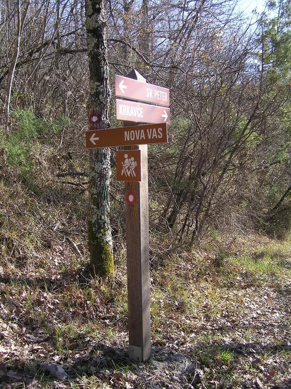 Apartma Istra Zora Secovlje Bilik gambar