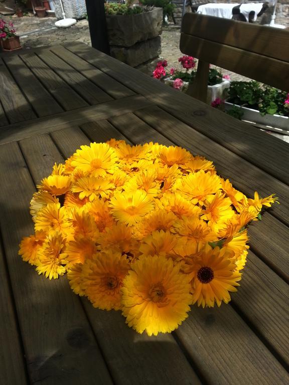 Apartma Istra Zora Secovlje Luaran gambar