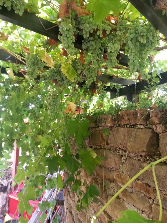 Apartma Istra Zora Secovlje Luaran gambar