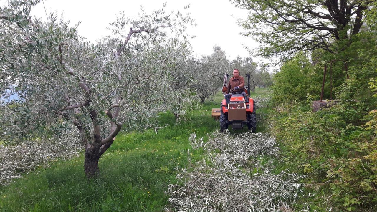 Apartma Istra Zora Secovlje Luaran gambar